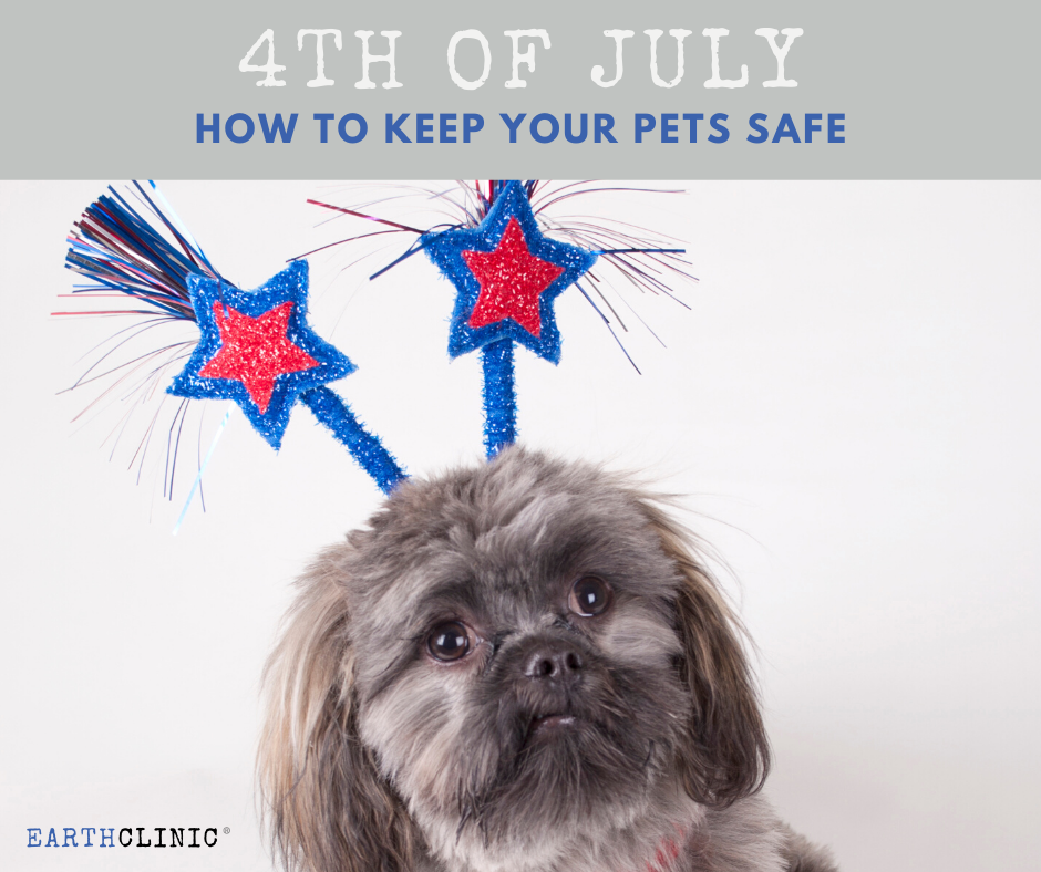 Protect Your Dogs on July 4th